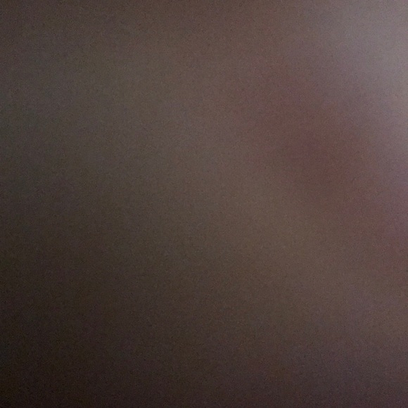 Meet your Posher, Rily - Picture 1 of 1